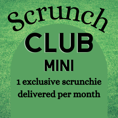 Scrunch Club Mini Subscription Enchanted Scrunch